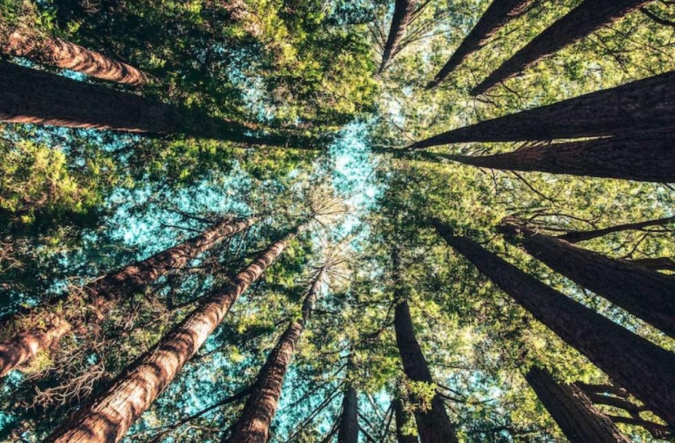 Products that respect the environment